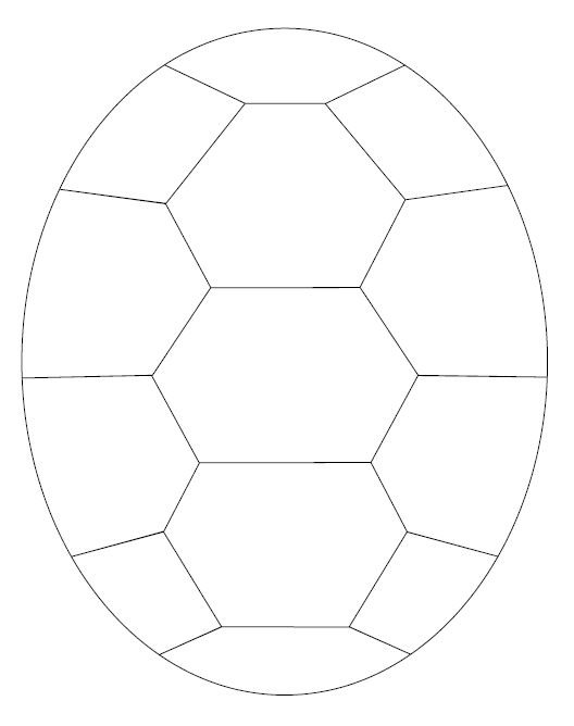 Turtle Shell Digital Quilting Design