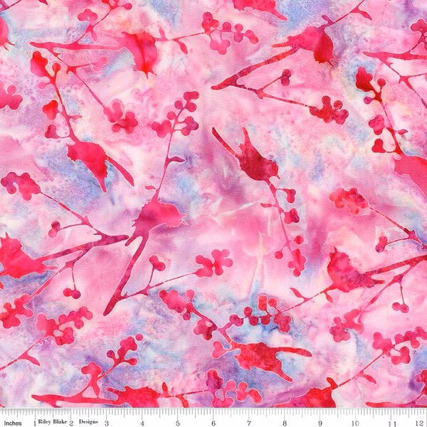 Sassy & Tweet - Lollipop