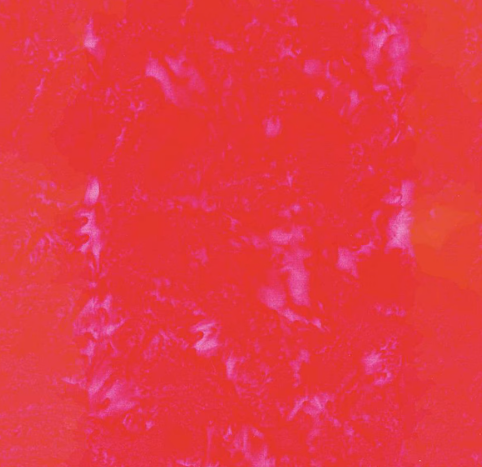Riley Blake Expressions Batiks Hand-Cherry