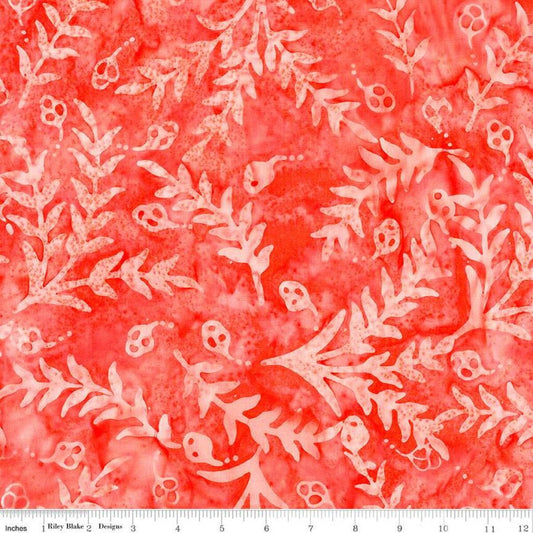 Sassy & Tweet - Papaya