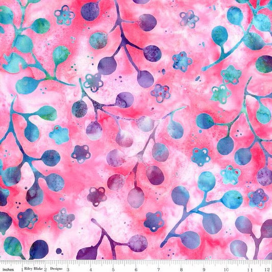 Sassy & Tweet - Prismatic Bliss