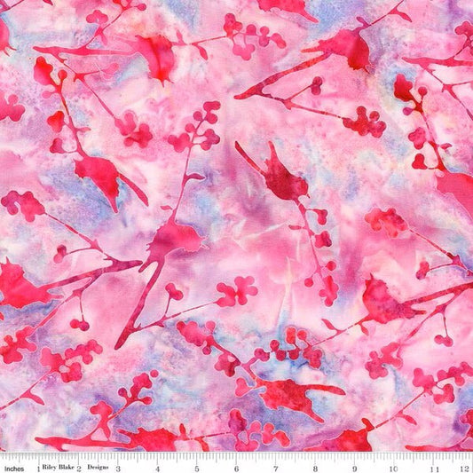 Sassy & Tweet - Lollipop